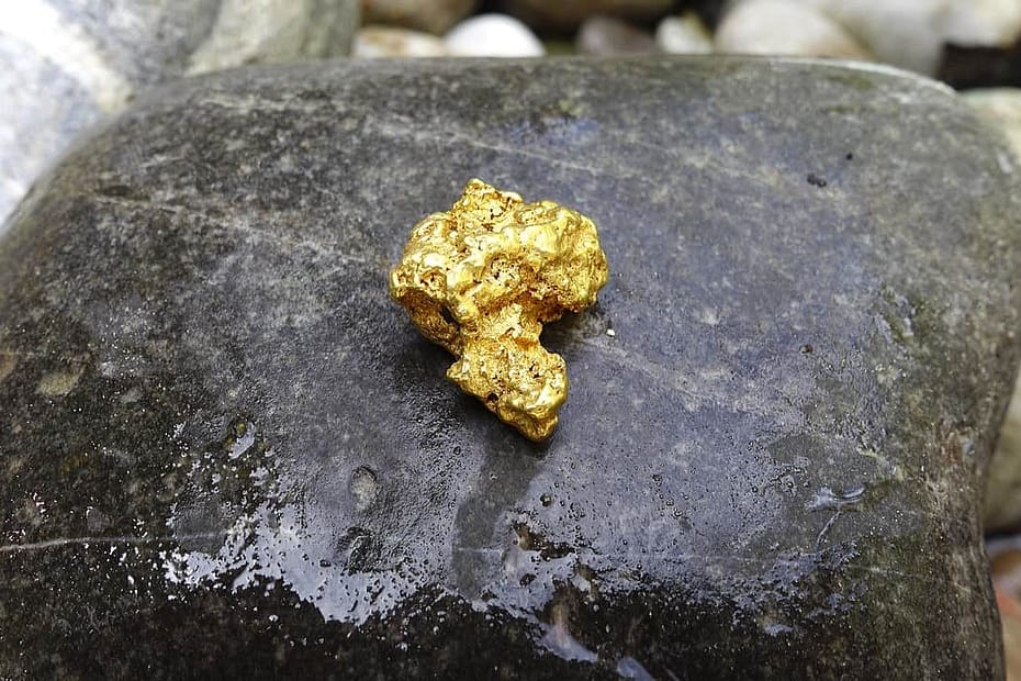 Gold Nugget